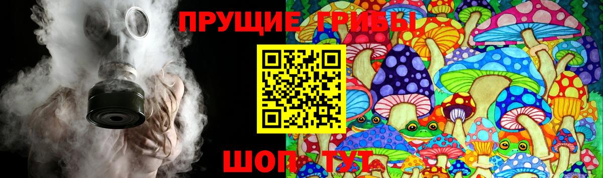 Псилоцибиновые грибы мухоморы Димитровград